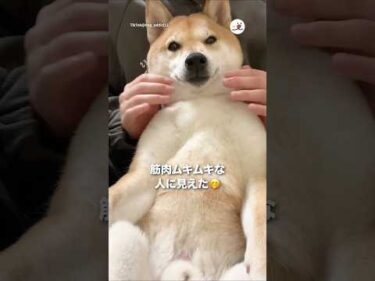 筋肉ムキムキな人に見えた🤭｜PECO