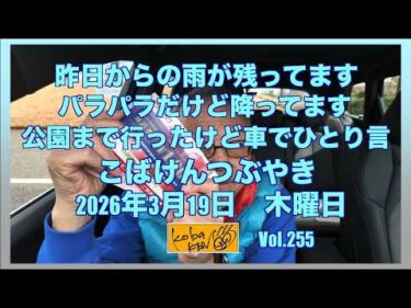 2026年3月19日 木曜日 こばけんつぶやき