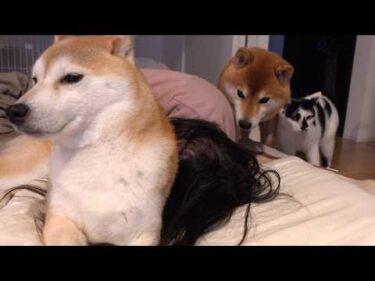 楽しいはずのお泊まり会で、思ってもない出来事が…