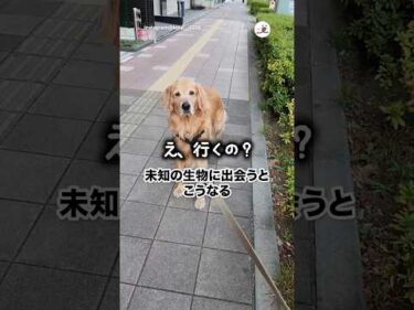 前通るのに10分かかった｜PECO