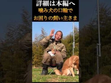 噛み犬の口輪でお悩みの飼い主さま