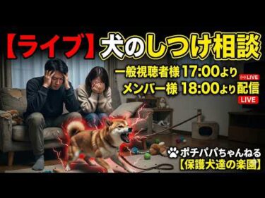 【ライブ】犬のしつけ相談　一般視聴者様17時よりメンバー様18時より配信