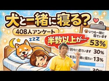 犬と一緒に寝てもいいの？犬と一緒に寝てる？408人に聞いたら意外な結果でした【犬のしつけ】