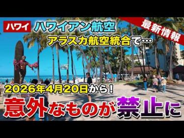 【2026年4月20日から】ハワイアン航空で意外なものが禁止になりました。アラスカ航空統合の裏側【ハワイ最新情報】【ハワイの今】