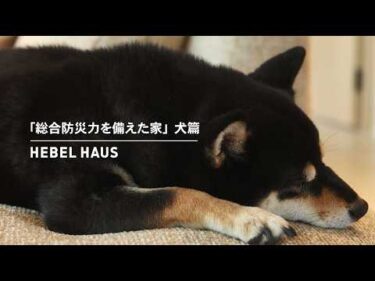 HEBEL HAUS｜ペットが幸せ、というしあわせ。