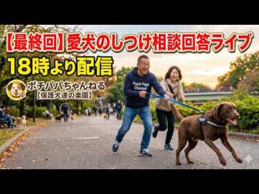 【最終回】愛犬のしつけ相談回答ライブ18時より配信