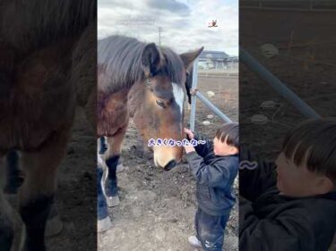 相思相愛なふたり｜PECO