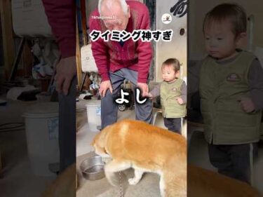 奇跡のタイミング｜PECO