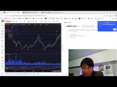 エヌビディア最高値！ビットコイン反落！日本株 米国株 BTC ゴールド見てライブ配信！