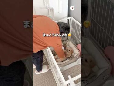 犬を迎えるのを反対してた母だけど…｜PECO