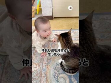 仲良し姿を見れると思ったら…｜PECO