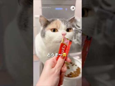 おやつ（薬）の時間だよ〜🙄｜PECO