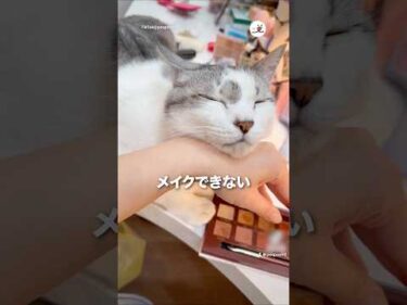 メイクできない｜PECO