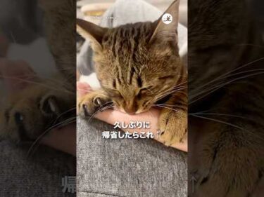 久しぶりに帰省してこれ｜PECO