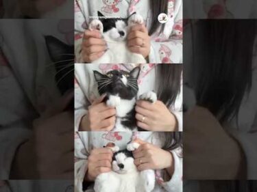 がんばれ〜！｜PECO