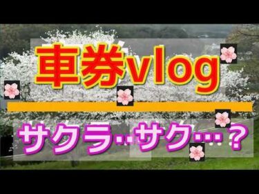 車券vlog 近況3月後半～サクラ・・サク？