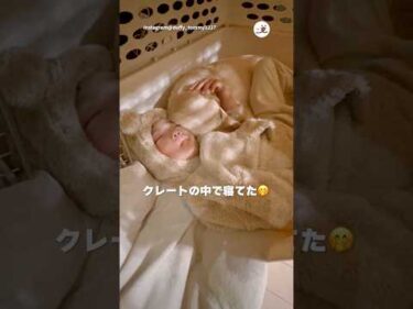 一緒に寝てたふたり｜PECO