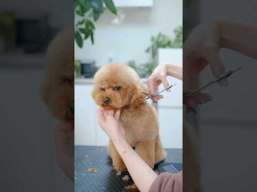 怒っていますか・・・？