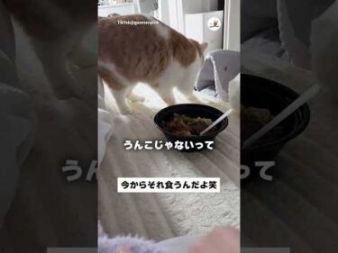今から私が食うんだよ笑｜PECO
