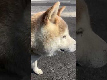 誰なん？現金取ってもしれてるやろ！