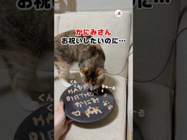 誕生日のお祝いなのに…｜PECO