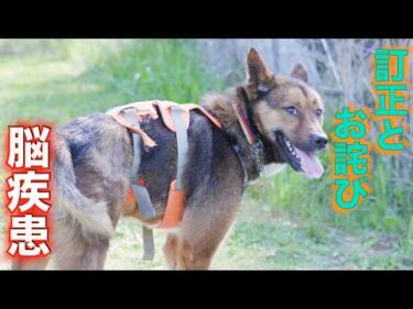 【脳疾患】前回動画のお詫びと訂正と今後治療の方向性