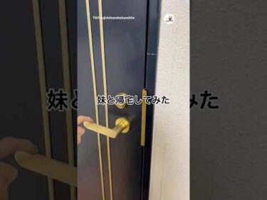 妹と一緒に家へ帰宅してみた｜PECO