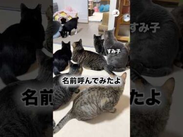 みんな振り向いて…｜PECO