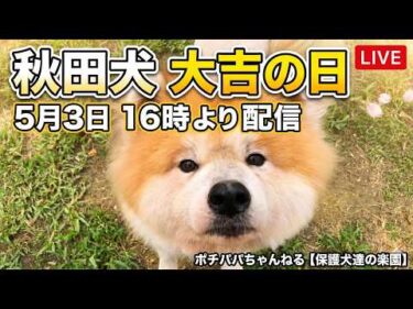 大吉の日5月3日16時より配信