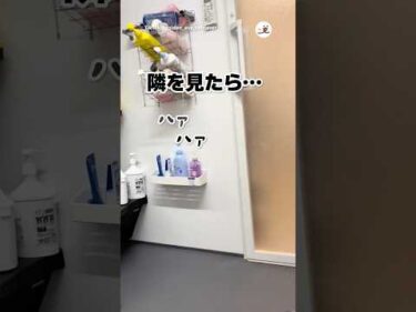 隣を見たら…🛀｜PECO