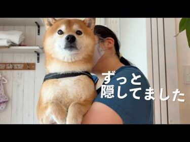 事故以来、ずっと隠していた朝があります。