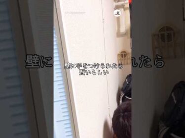 賢い猫は手をつくチャレンジ｜PECO