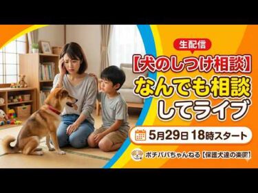 【しつけ相談】なんでも相談してライブ5月29日18時スタート