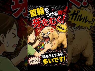 首輪を嫌がる犬、まずはコレを試して！