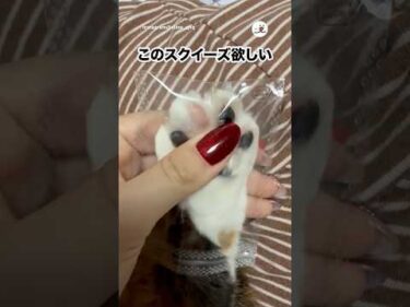 これどこに売ってます？｜PECO