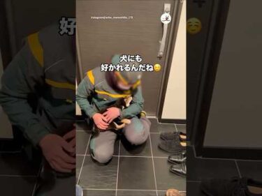 宅配のお兄さんと会って3回目でこの懐きよう｜PECO