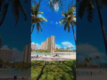 【10秒ハワイ】10秒でハワイ気分🌴賑わうワイキキの絶景ラグーン