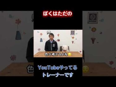 ぼくはただ、YouTubeをやっているドッグトレーナーです【犬のしつけ】