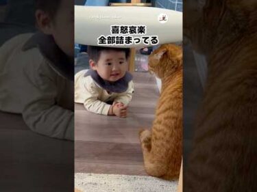 仲良くなりたかっただけなのに…｜PECO