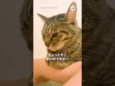 ちょっとそこ辛いのですが…｜PECO
