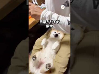 「集中！」と言われると…｜PECO