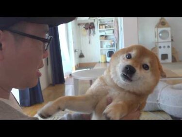 この日、涙が止まりませんでした。