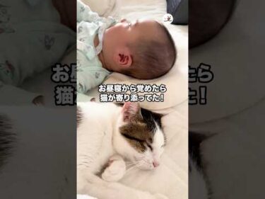 お昼寝から覚めたら…🤭｜PECO