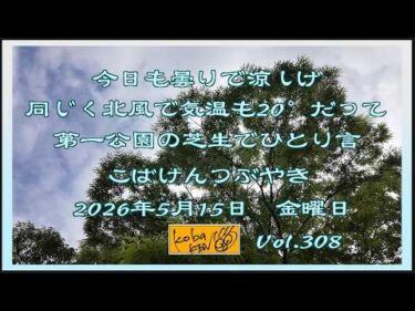 2026年5月15日　金曜日 こばけんつぶやき