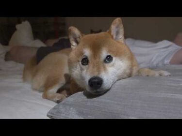 寝室で起きた優しい出来事に涙が出ました。