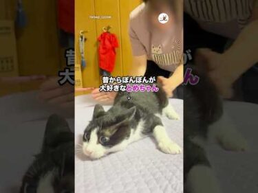 おしりぽんぽんしすぎて…｜PECO