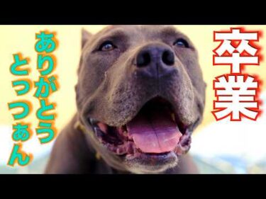 【卒業】達者でな！