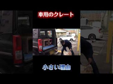 犬の車用クレート、実は“少し小さめ”がいい理由【犬のしつけ】