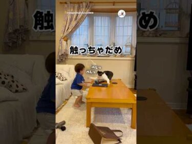 今は触れるでない｜PECO