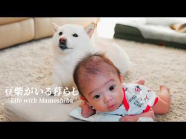 この暮らしを変えてくれたモノに出会いました。